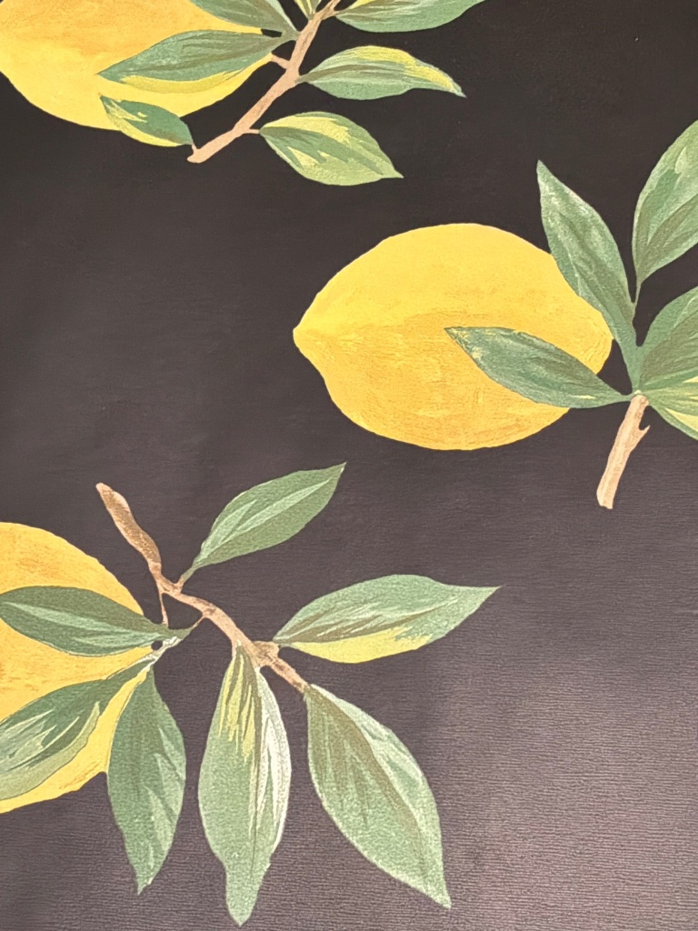 Daisy Bennett Lemoncello Black Peel & Stick Wallpaper DB20400 Lot 1 – 2 Rolls